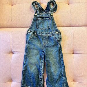 Brand New 3T Gap Ruffle Overalls